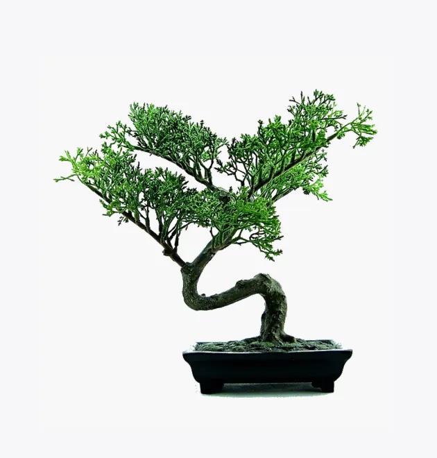 product-image-2_optimized