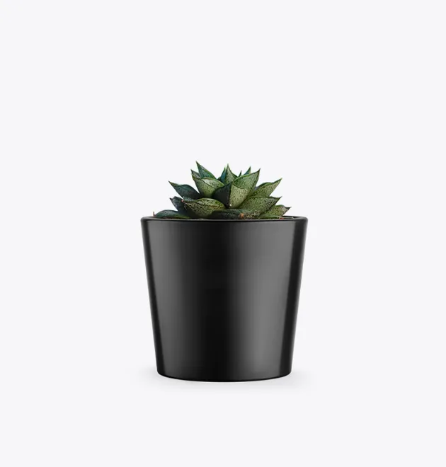 product-image-3_optimized