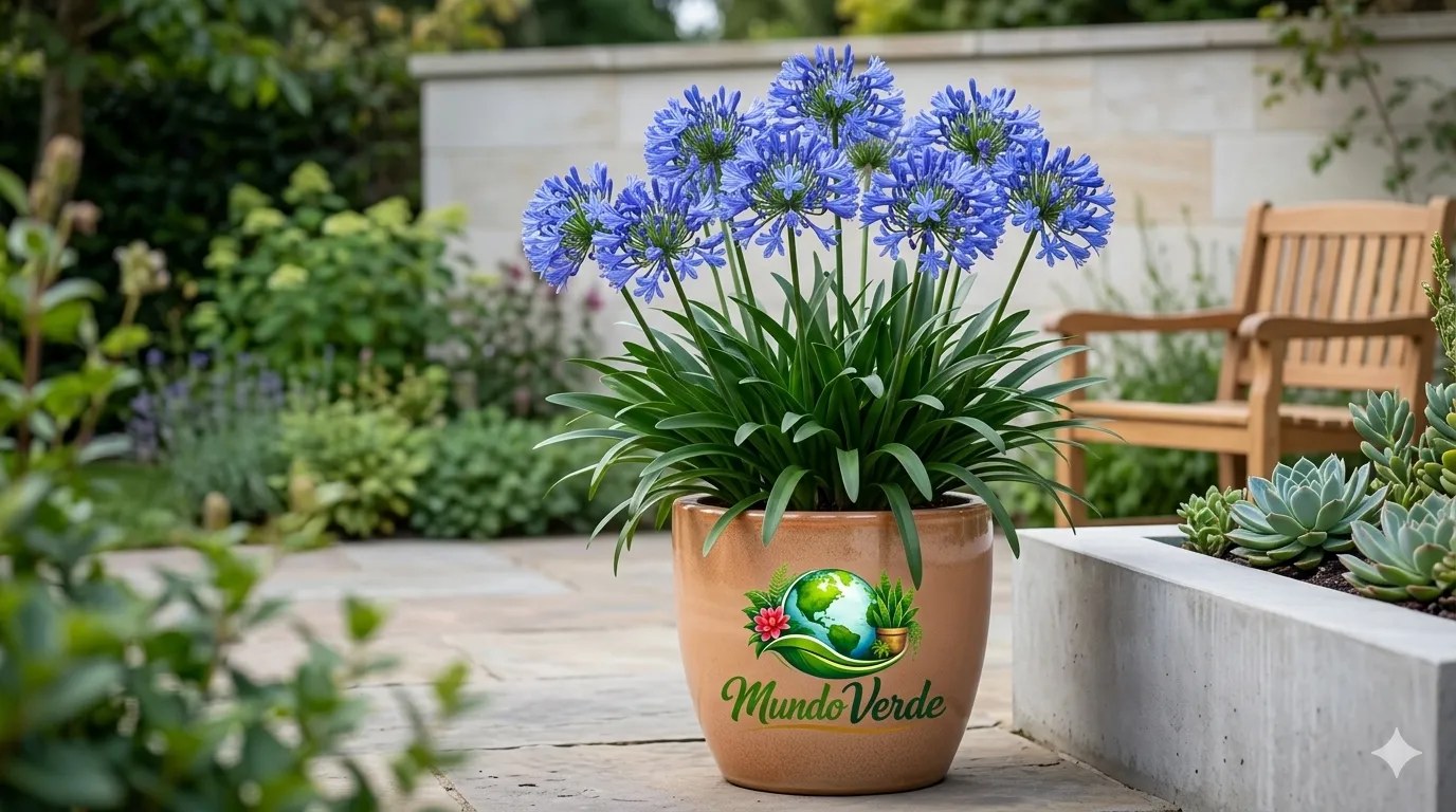 Planta de Agapanto en plena floración con múltiples umbelas de flores azul vibrante, presentada en una maceta cerámica de color terracota claro con el logotipo "Mundo Verde". La planta está ubicada en un patio moderno con suelos de piedra, rodeada de vegetación exuberante y mobiliario de jardín de madera en un fondo suavemente desenfocado.